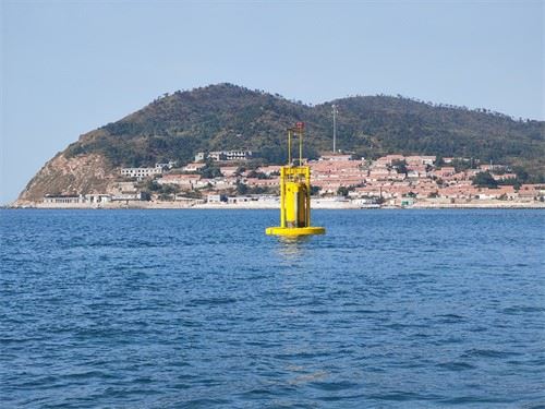 Oscillating Buoy Wave Energy Generation System price