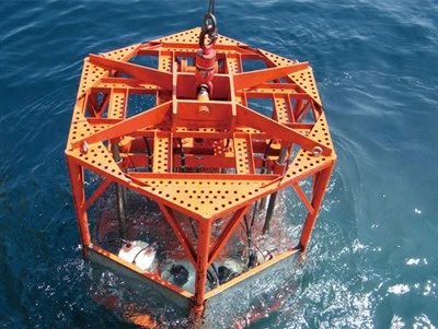 Subsea In-situ Detection System