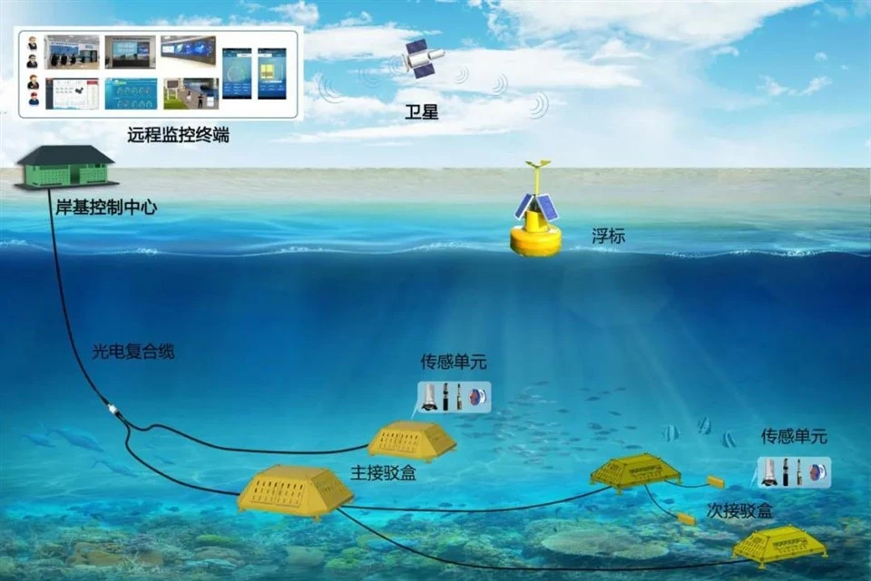 Submarine Cabled In-situ Observation System