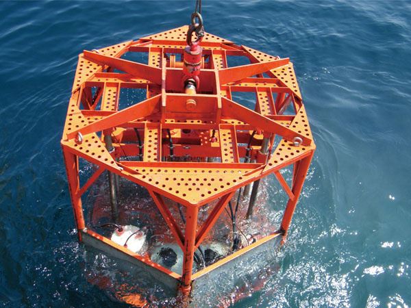 Subsea In-situ Detection System